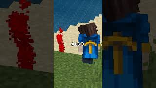 I found the BEST Minecraft Server...