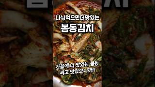 가성비 좋은 봄동김치 봄동겉절이 #shorts