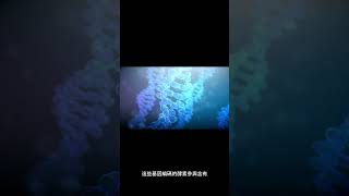 羧酸酯酶2在人體中的具體功能是什麼？ #shorts