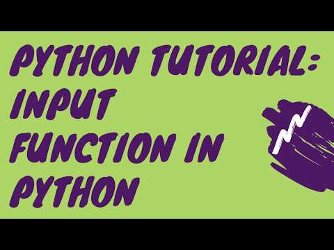 Python Tutorial: How to use Input Function in Python