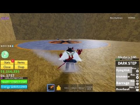 Blox fruit combo 1