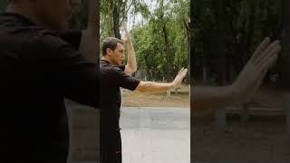 Learn how to airbend! Bagua Zhang Basics