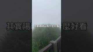 【台北旅遊】陽明山下雨天有什麼好看？陽明山一日遊