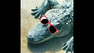Alligator Crocodile - Parry Gripp - Animation by Mousepack