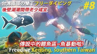 後壁湖出水口左側 ~老少咸宜的後壁湖餵魚區~ 魚兒都暴動了凍未調 傑哥帶你玩 Jerry go play 墾丁潛點 牛港參