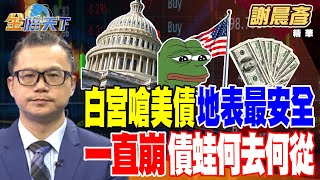 【精華】白宮嗆美債地表最安全 一直崩債蛙何去何從？ 仁勳背板見驚奇 金融股也攻AI？#謝晨彥 #金臨天下 @tvbsmoney  20250520