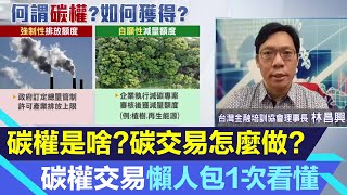 碳權是什麼？碳交易如何運作？碳權交易所是什麼？碳權交易懶人包1次看懂！碳排放.排碳有價時代來臨！台灣碳權交易所3大業務曝光｜林昌興｜三立新聞台 黃家緯 主播｜投資理財、財經新聞 都在94要賺錢