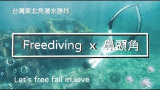 Freediving 自由潛水｜Taiwan  北海岸潛水勝地—鼻頭角