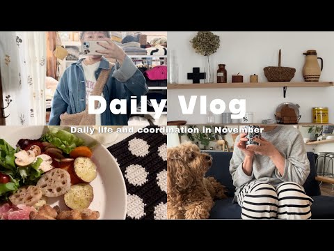 【Daily Vlog】ショップスタッフ11月の日常Vlog🍂仕事とプライベート🏠最近の購入品💍🐏 #ootd  #ルーティーン #50代