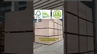 Burned for 1 hour +waterproof and termite-proof,FSC certified for peace of mind!#plywood #fireproof