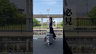 【必見!!】年間100泊するプロ遊び人momoが選ぶ多機能スーツケースがあまりにも多機能で最高すぎた🫢🫢楽天市場で購入可能！ #リベティ #多機能スーツケース #機内持ち込み
