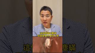寢具，布沙發，絨毛娃娃內的塵蟎為什麼吸塵器沒有辦法清除牠們 #
