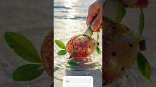 3D cutting watermelon #shorts