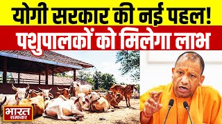 किसानों के लिए खुशखबरी! पशु नस्ल सुधार पर CM योगी का मास्टरप्लान!  Lucknow | Uttar Pradesh ||