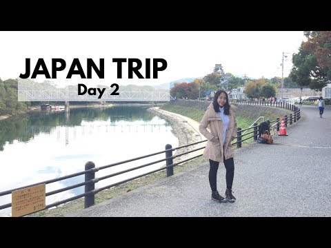 30K STEPS IN 5 CITIES! | Japan Trip: Day 2 (D'Vlog)