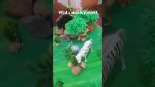 wild animals project #scienceexhibitionprojectclass