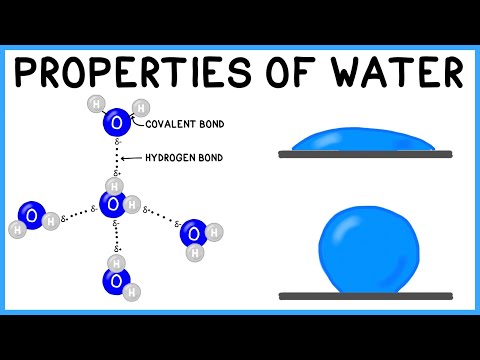 Properties of Water