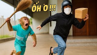 CUTIS reaction chase stranger , smart protect baby monkey