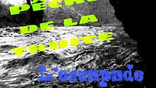 Pêche de la truite en ruisseau : l'escapade