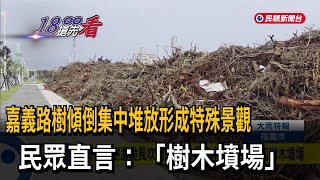 嘉義路樹傾倒集中堆放形成特殊景觀 民眾：如樹木墳場－民視新聞