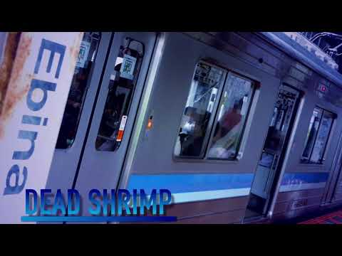 DEAD SHRIMP【静止画】
