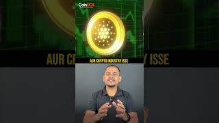 What Happened in Crypto Market This Week | CoinDCX