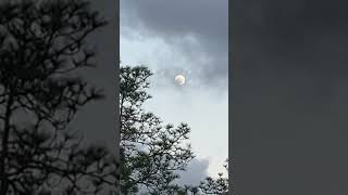 The moon is nice this time of day!!! #florida #sky #moon #daymoon