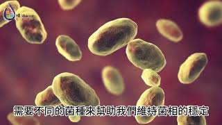多特蒙-兒童益生菌