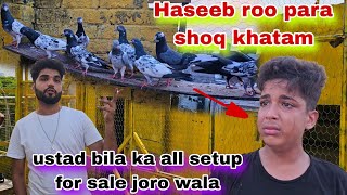 All setup ustad bila ka joro wala for sale haseeb roo para kabutar bazi khatam 🥹