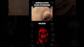 Animals With Down Syndrome 💀 #animal #syndrome #scary #creepy #fablescope #haunted #horror #fyp