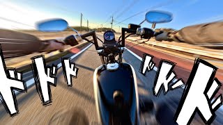 【スポーツスター1200】試乗してみた‼️✨初めてのカスタムハーレーに感動‼️鼓動があるよ‼️