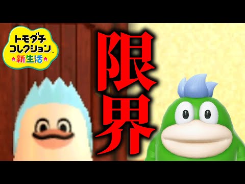 トモコレ新作が早く出てくれないとキャラクリが限界です【トモダチコレクション新生活】
