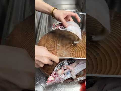赤眼鱼生