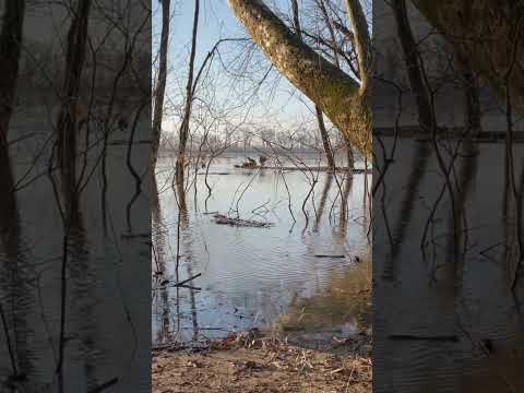 #natureisbeautiful