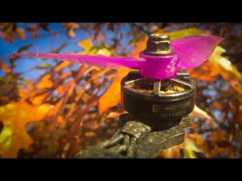 Leaf demise 🍂🍂 - TBS Source One ~ FPV Freestyle
