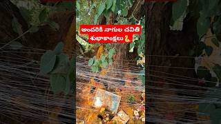 అందరికి నాగుల చవితి శుభాకాంక్షలు 🐍🐍🤗🤗#hindufestival #nagulapanchami #festival #shorts #trending