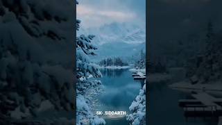 Beautiful Nature 🌿😍 #nature #beautifulnature #flowers #trending #naturelovers #longvideo #beautiful
