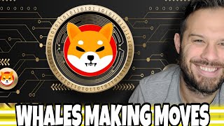 Shiba Inu Coin | Whales Selling Off Of SHIB... Is It Time To Buy More?!