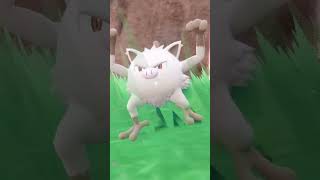 THE BEST POKEMON to SOLO TERA RAIDS in Scarlet and Violet