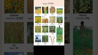 Crops Name |  #shorts