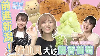 【日本學問大前進新潟】烤仙貝大吃麝香葡萄