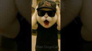 🚘 🐶 Toy Race Showdown: Cat on Wheels, Dog on Mech! #cute #dog #story #funny
