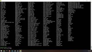 writing a very simple c application on windows with gcc(msys2) and notepad.