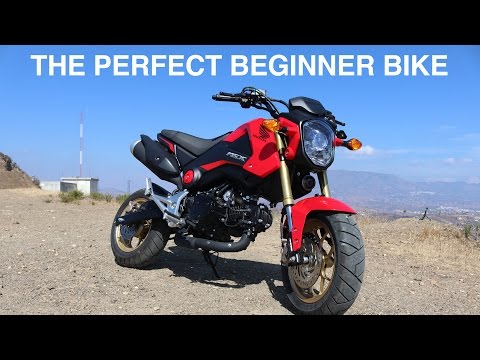 VLOG #010 - 10 reasons the Honda Grom is the perfect beginner bike