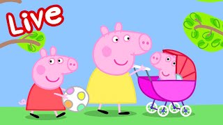 Peppa Pig BABY Episodes LIVE 🍼 The Cutest Babies in Peppa Pig! 🥹 Watch EVIE Now! 💛 Kids Cartoons