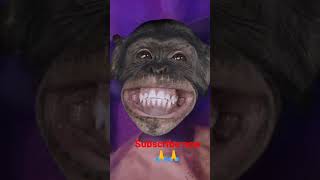 monkey laugh #nigeria #youtubeshorts #animation #comedy #shorts #viral #cartoon #3rdterm #badmarket