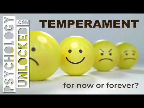 Can a baby's temperament tell you something about their future? Temperamental Permanence