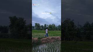 North India 🇮🇳#shorts #northindia #india #atifikbalvlogs #viralshort #villagelife