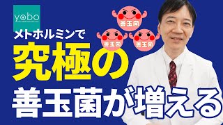 【飲むしかないメトホルミン】究極の善玉菌が増えて腸がキラキラ！糖尿病の薬じゃなかったの！？便秘にも良い腸活薬