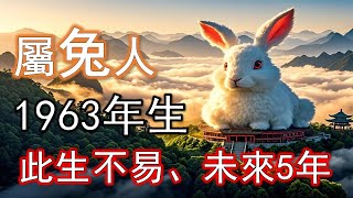 【此生不易，何人知】1963年"62歲兔"的未來5年，佛說一切都是命#生肖兔#屬兔人#兔生肖